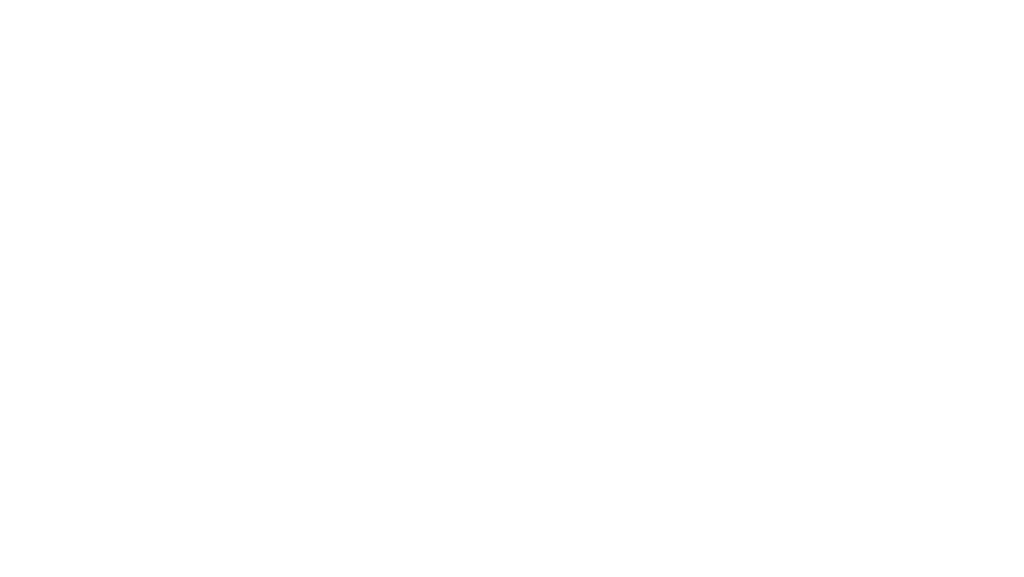 Oem Auto Glass Repair W